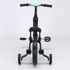 3 in 1 Multifunctional Kids Training Balance Bike And Tricycle for Boys And Girls